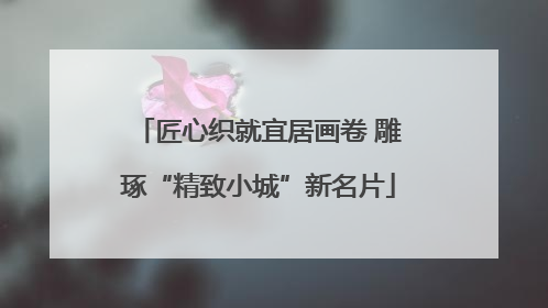 匠心织就宜居画卷 雕琢“精致小城”新名片