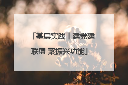 基层实践丨建党建联盟 聚振兴功能
