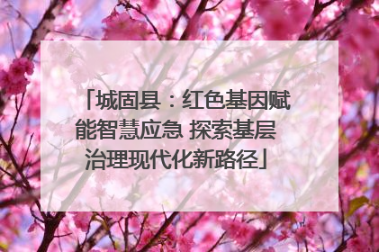 城固县：红色基因赋能智慧应急 探索基层治理现代化新路径