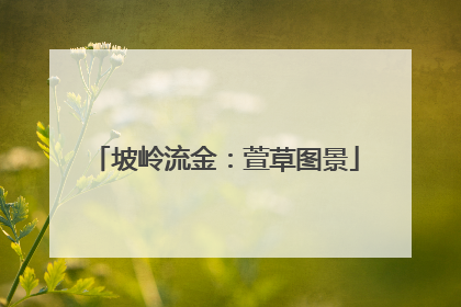 坡岭流金：萱草图景