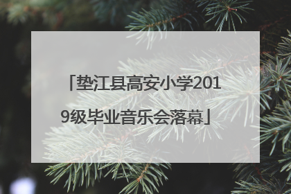 垫江县高安小学2019级毕业音乐会落幕
