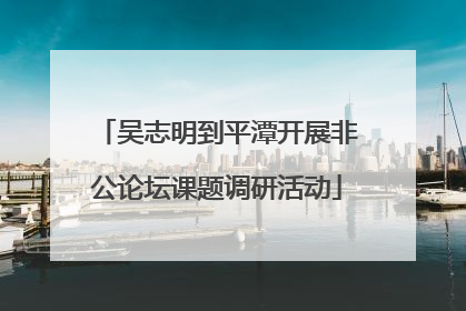 吴志明到平潭开展非公论坛课题调研活动