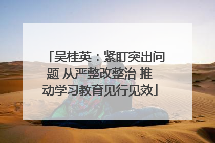 吴桂英：紧盯突出问题 从严整改整治 推动学习教育见行见效