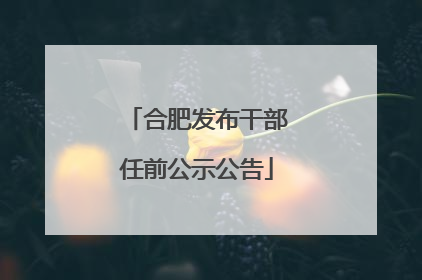 合肥发布干部任前公示公告