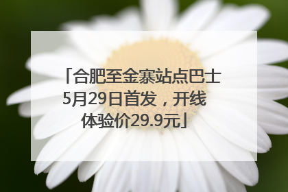 合肥至金寨站点巴士5月29日首发，开线体验价29.9元
