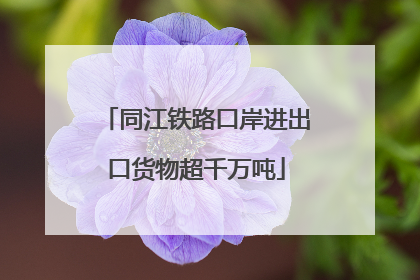 同江铁路口岸进出口货物超千万吨