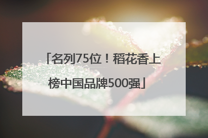 名列75位！稻花香上榜中国品牌500强