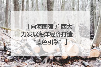 向海图强 广西大力发展海洋经济打造“蓝色引擎”