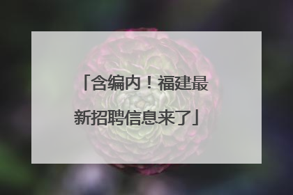 含编内！福建最新招聘信息来了