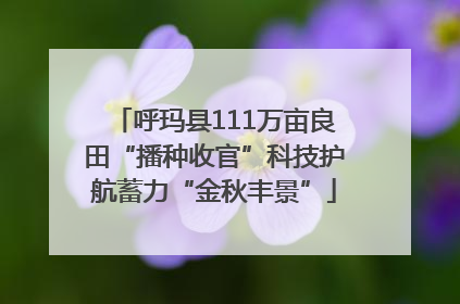 呼玛县111万亩良田“播种收官”科技护航蓄力“金秋丰景”