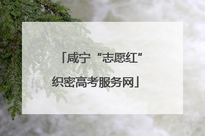 咸宁“志愿红”织密高考服务网