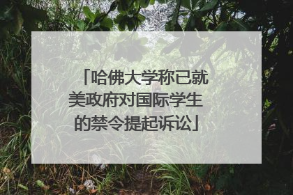 哈佛大学称已就美政府对国际学生的禁令提起诉讼