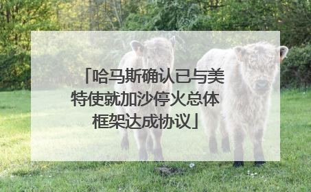哈马斯确认已与美特使就加沙停火总体框架达成协议