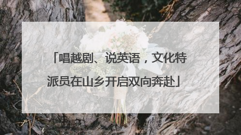 唱越剧、说英语，文化特派员在山乡开启双向奔赴