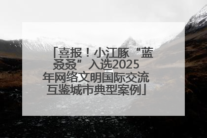 喜报！小江豚“蓝叒叒”入选2025年网络文明国际交流互鉴城市典型案例