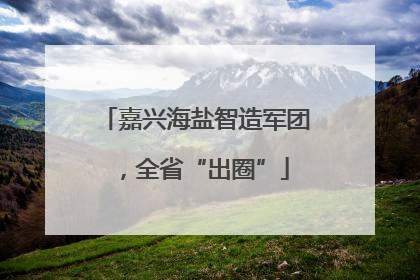 嘉兴海盐智造军团，全省“出圈”