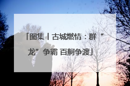 图集丨古城燃情：群“龙”争霸 百舸争渡