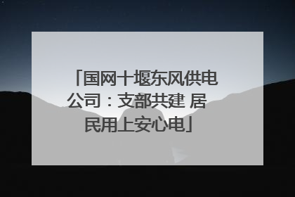 国网十堰东风供电公司：支部共建 居民用上安心电