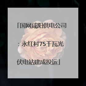 国网咸阳供电公司：永红村75千瓦光伏电站建成投运