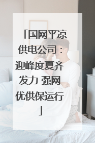 国网平凉供电公司：迎峰度夏齐发力 强网优供保运行