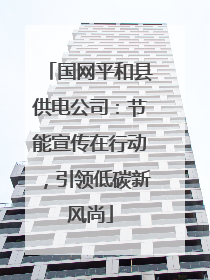 国网平和县供电公司：节能宣传在行动，引领低碳新风尚