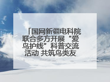 国网新疆电科院联合多方开展“爱鸟护线”科普交流活动 共筑鸟类友好城市