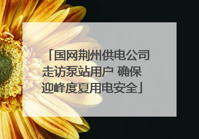 国网荆州供电公司走访泵站用户 确保迎峰度夏用电安全