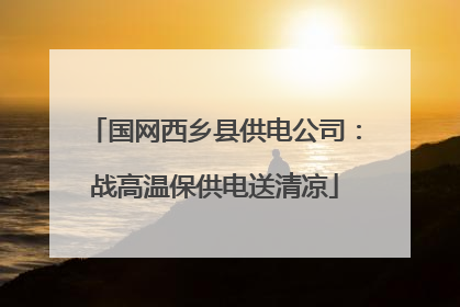 国网西乡县供电公司：战高温保供电送清凉