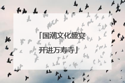 国潮文化盛宴开进万寿寺