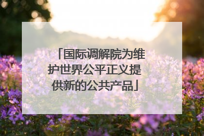 国际调解院为维护世界公平正义提供新的公共产品