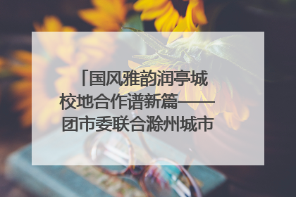 国风雅韵润亭城 校地合作谱新篇——团市委联合滁州城市职业学院助力传统文化“破圈”绽放