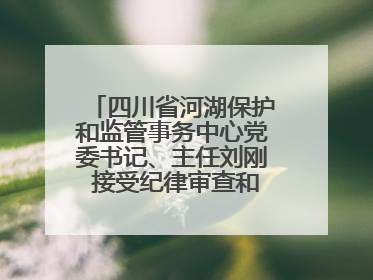 四川省河湖保护和监管事务中心党委书记、主任刘刚 接受纪律审查和监察调查