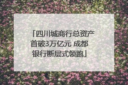 四川城商行总资产首破3万亿元 成都银行断层式领跑