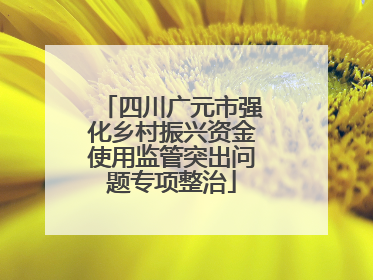 四川广元市强化乡村振兴资金使用监管突出问题专项整治