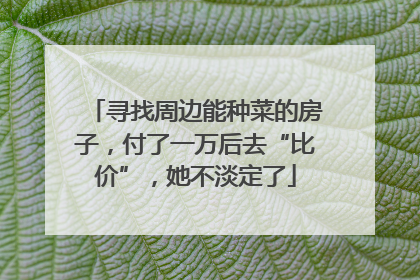 寻找周边能种菜的房子，付了一万后去“比价”，她不淡定了