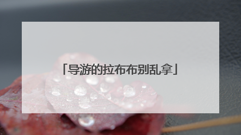导游的拉布布别乱拿