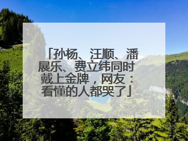孙杨、汪顺、潘展乐、费立纬同时戴上金牌，网友：看懂的人都哭了