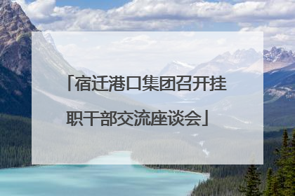 宿迁港口集团召开挂职干部交流座谈会
