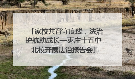 家校共育守底线，法治护航助成长—枣庄十五中北校开展法治报告会