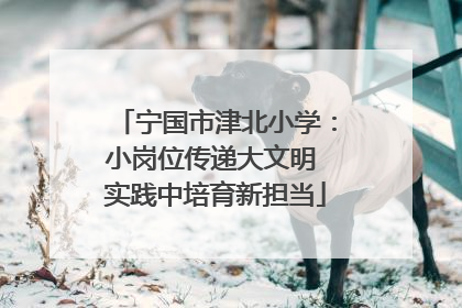 宁国市津北小学：小岗位传递大文明 实践中培育新担当