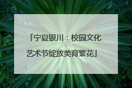 宁夏银川：校园文化艺术节绽放美育繁花