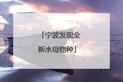 宁波发现全新水母物种