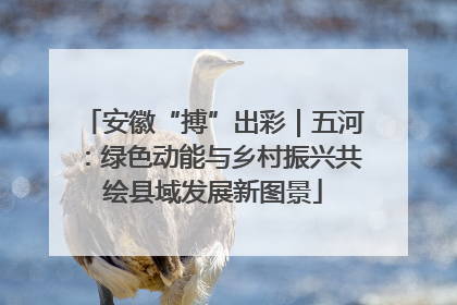 安徽“搏”出彩｜五河：绿色动能与乡村振兴共绘县域发展新图景