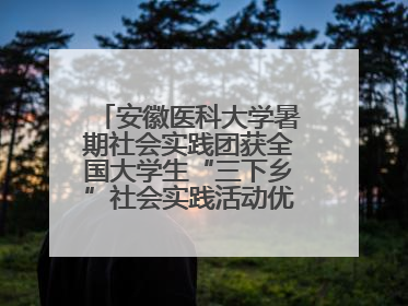 安徽医科大学暑期社会实践团获全国大学生“三下乡”社会实践活动优秀团队
