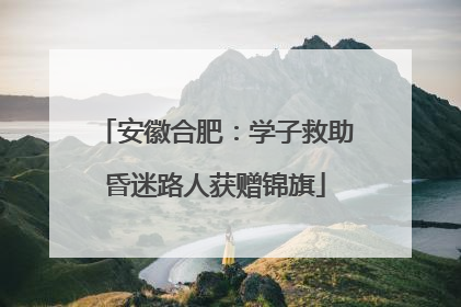 安徽合肥：学子救助昏迷路人获赠锦旗