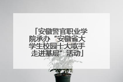 安徽警官职业学院承办“安徽省大学生校园十大歌手走进基层”活动