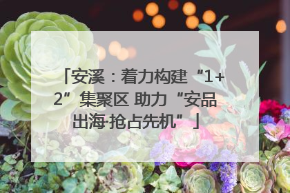 安溪：着力构建“1+2”集聚区 助力“安品出海·抢占先机”