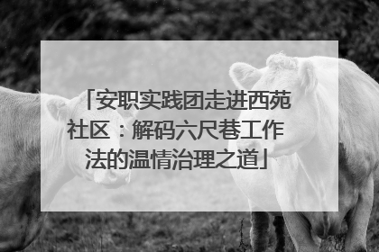 安职实践团走进西苑社区：解码六尺巷工作法的温情治理之道