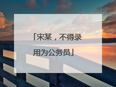 宋某，不得录用为公务员
