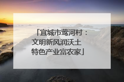 宜城市莺河村：文明新风润沃土 特色产业富农家
